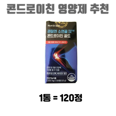 2024 콘드로이친 영양제 추천 순위